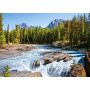 Puzzle Castorland 1500el Athabasca River Jasper National Park, Kanada - 3